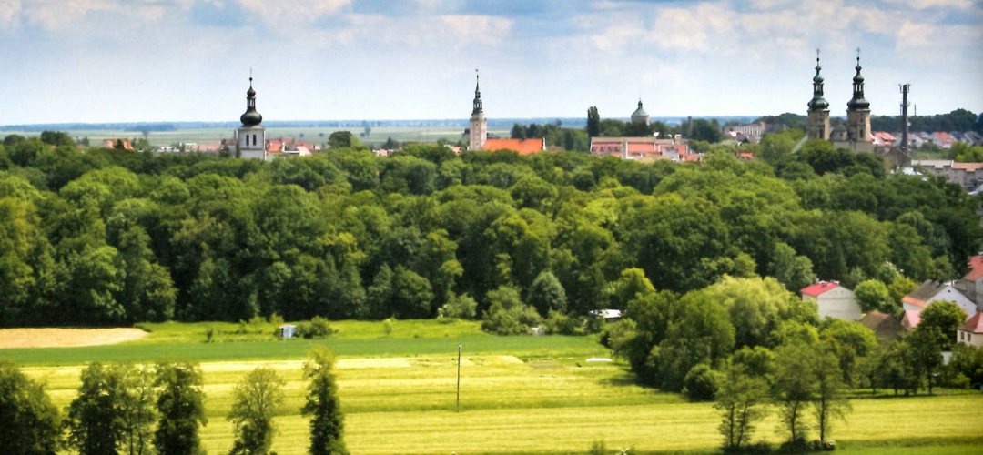 Panorama Głogówka. Źródło: Goryl J., Bielenin P.: 750 lat historii. Franciszkanie w Głogówku, 1264-2014, Wrocław 2014, Wydawnictwo ZET