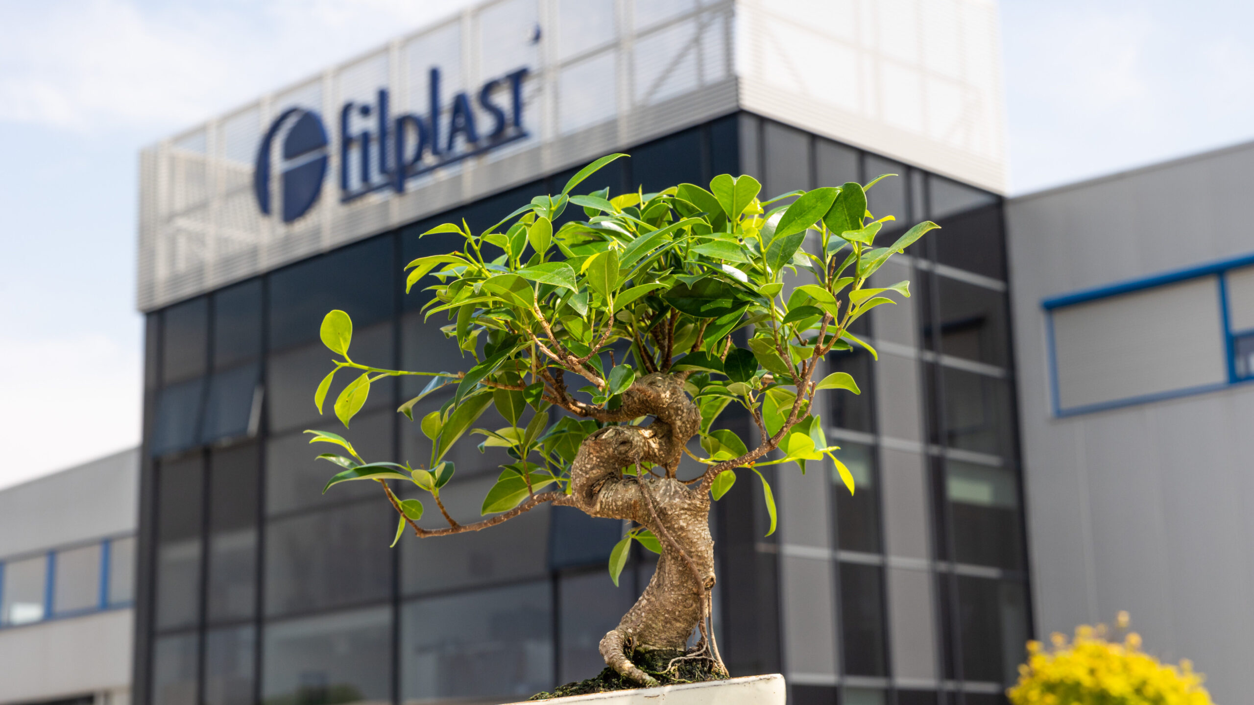 Firma Filplast - zakład produkcyjny